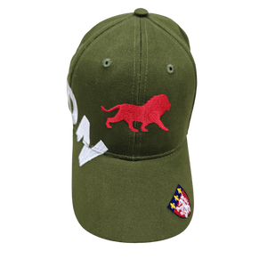 Cotton Baseball Cap with Berth Embroidery Design
